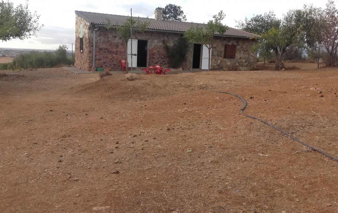 1073 5 Don Álvaro 9 1170x738 - Vendo finca de Olivos en Don Álvaro
