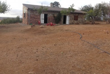 1073 5 Don Álvaro 9 385x258 - Vendo finca de Olivos en Don Álvaro