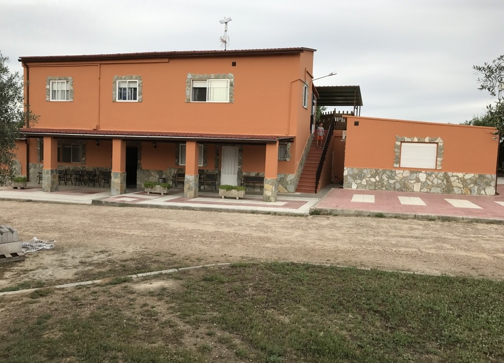 1074 OPC Mérida 2 1024x738 - Vendo parcela de mas de 10.000 m2 en Mérida, en la carretera de Don Álvaro